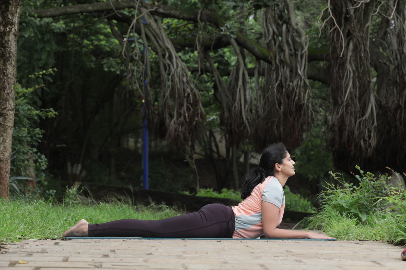 Yoga /Training Poses