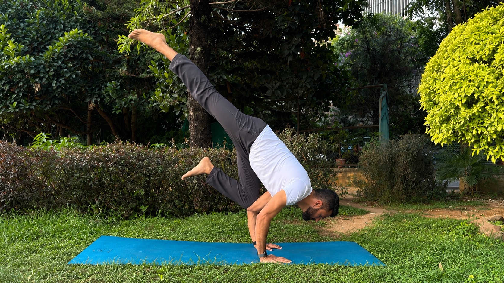 Yoga /Training Poses