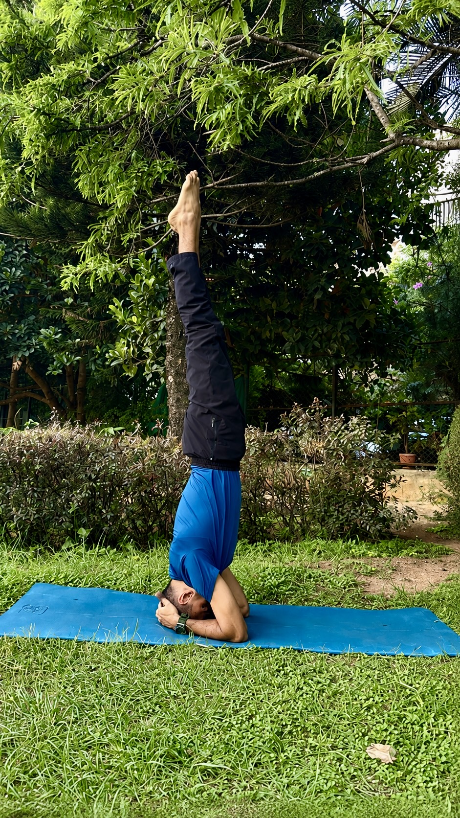 Yoga /Training Poses