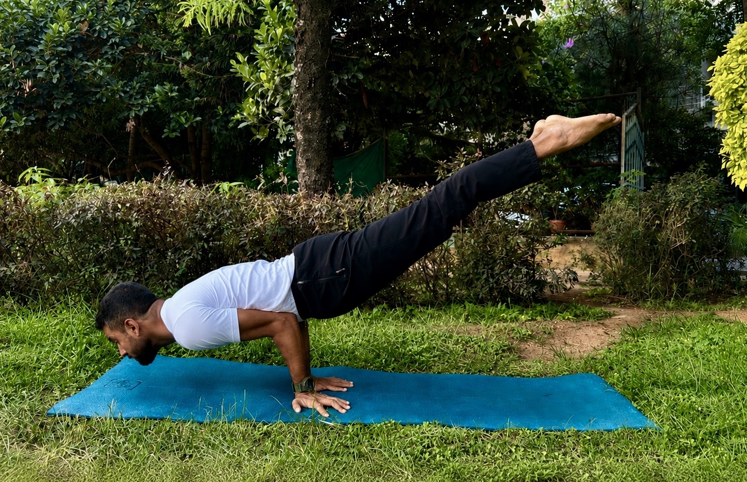 Yoga /Training Poses
