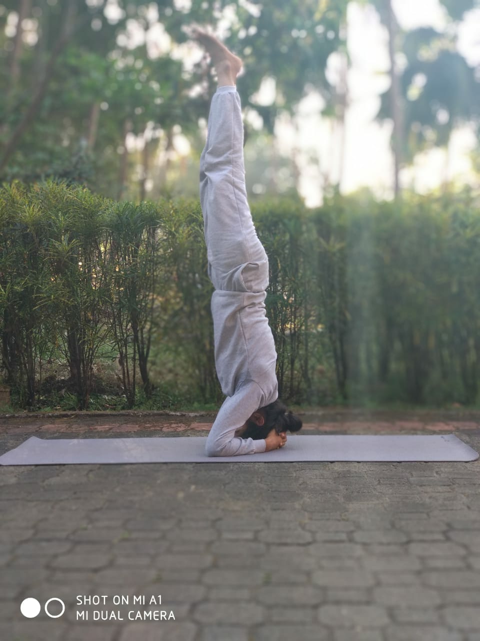 Yoga /Training Poses